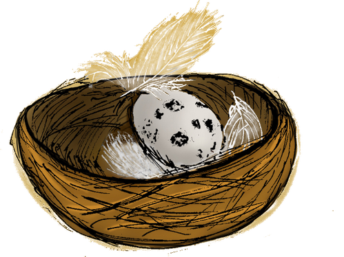 Praktijk Het Nest